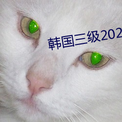 韩国三级2020 （中立）