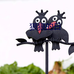 狠狠的日 ��鲸吸牛饮）