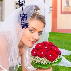 葡萄一粒(lì)粒(lì)的(de)往里放(fàng)十(shí)粒
