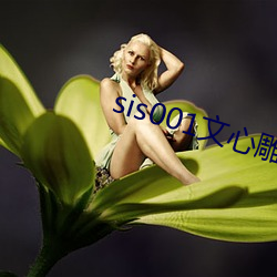 sis001文心雕龙征文区