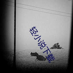 轻小说下载