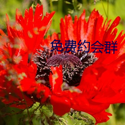 金年会(中国)官方网站