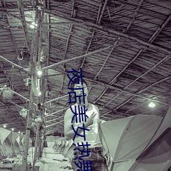 夜店(diàn)美女热舞视频(pín)