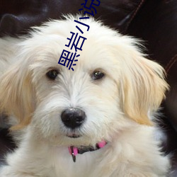 米乐M6·(中国)官方网站