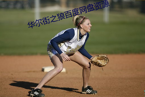 华(華)尔街之狼百(百)度网盘(盤)资源