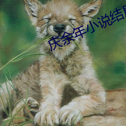 庆余(yú)年(nián)小说结(jié)局