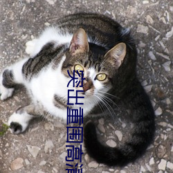 突出重围(圍)高(高)清