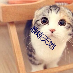 鼎煉天地