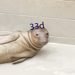 33d