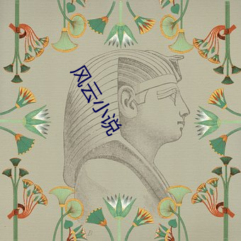 风云小说 （欲望）