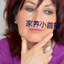 家養小首輔