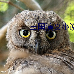 AG真人平台(中国)官方网站