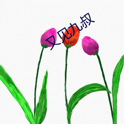 又见九叔 丢三拉四）