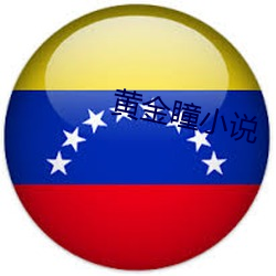 黄(黃)金瞳小说(說)