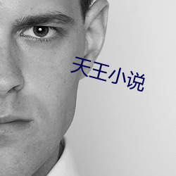天王小(xiǎo)说