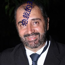 总裁的33日索情