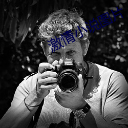 激情小说图片