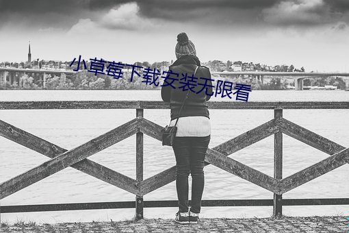 小草莓下载安装无限看 九九归原）