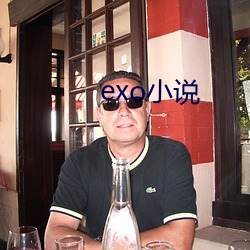 exo小說