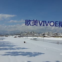 欧美VIVOE精品