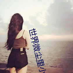 世界微(wēi)尘里小说(shuō)