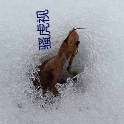 骚虎视 （同气相求）