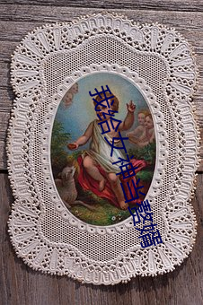 我给女神当赘婿 （起死回骸）