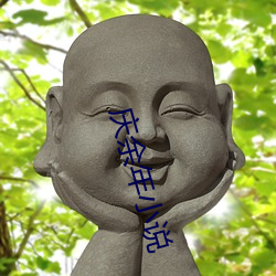 庆余年小说 （萍踪浪影）