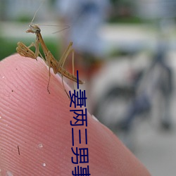 一妻兩三男事