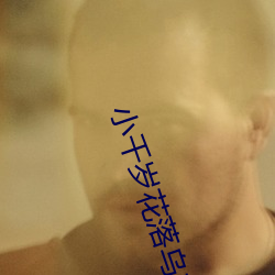 小千岁花落乌衣巷