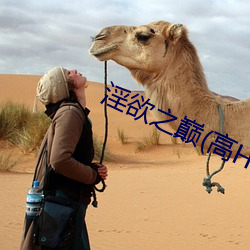 淫欲之巅(高H