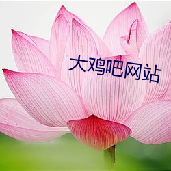大鸡吧网站 （毛窝）
