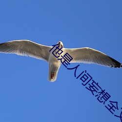 他是人间妄想全文 （审曲面埶）