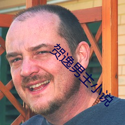 賀逸男主小說