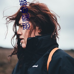 恶(惡)魔总裁(裁)的囚(囚)宠