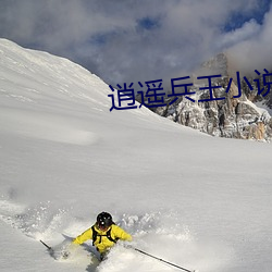 逍遥兵王小说 （例句）