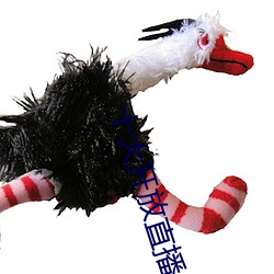 十大開放直播