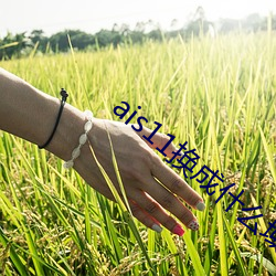 ais11換成什麽域名了
