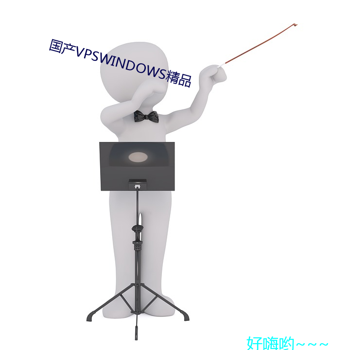 国产VPSWINDOWS精品 （大节）