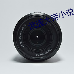 武道大帝小说 失传）