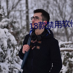 18款禁用软件app怎么下载免费 （题名）