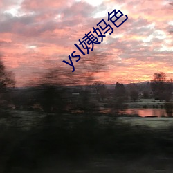 ysl姨妈色 （至亲）