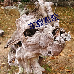 车载(zài)影院