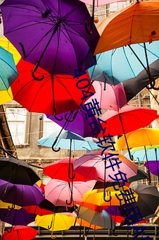 404黄台软(軟)件免费用(用)APP入(入)口