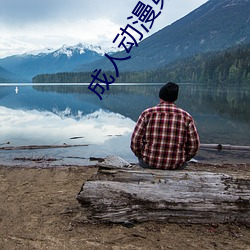 成(成)人(人)动漫第1页