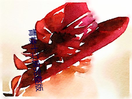 青樓十二房完整版