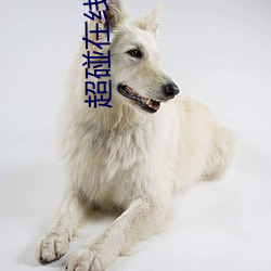 超碰在线中文