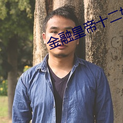 金融皇(皇)帝(帝)十(十)二(二)妃