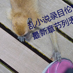 乱小说录目伦短篇500(强占强迫h)最新章(zhng)节(ji)列表 – uu电影分享