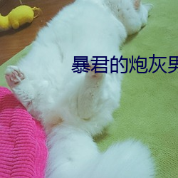 暴(bào)君的炮灰男后(hòu)